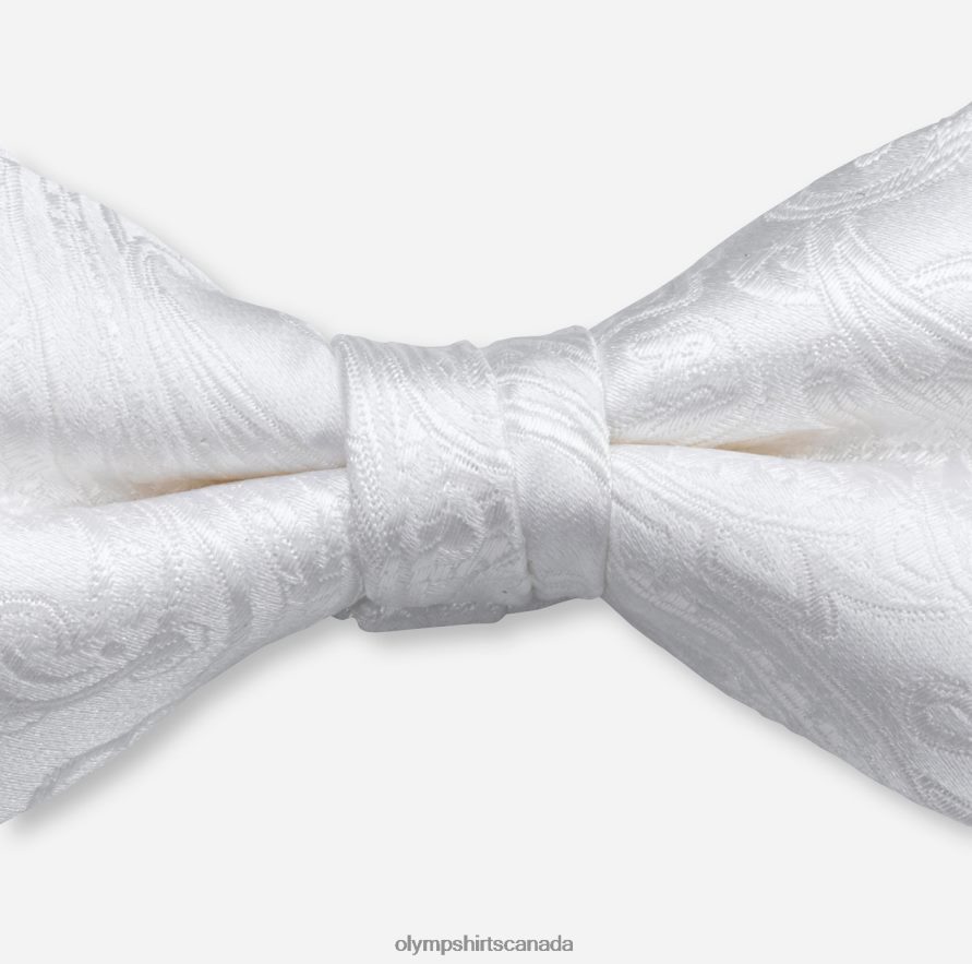 OLYMP Bow Tie Regular 55 Cm Champagne H2P42H2527 Accessories