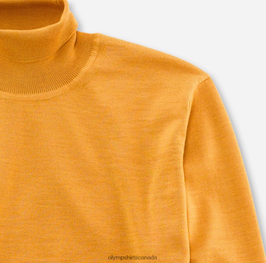 OLYMP Casual Knitwear Turtleneck Aniseed H2P42H1879 Clothing