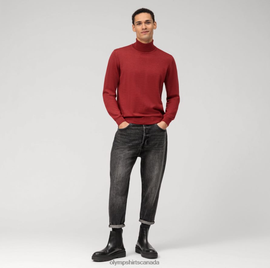 OLYMP Casual Knitwear Turtleneck Barolo H2P42H1883 Clothing