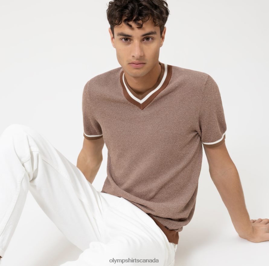 OLYMP Level Five Knitwear Body Fit T-Shirt Brown H2P42H2023 Clothing