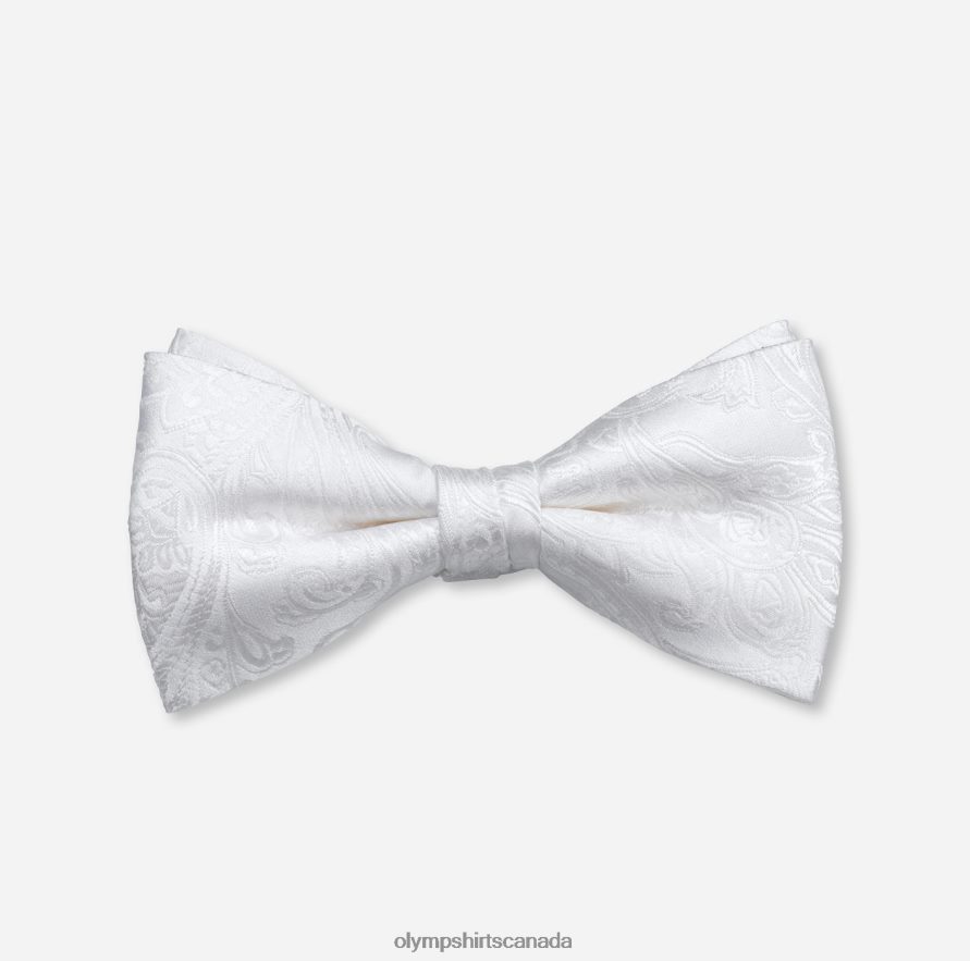 OLYMP Bow Tie Regular 5,5 Cm, Champagne H2P42H2527 Accessories