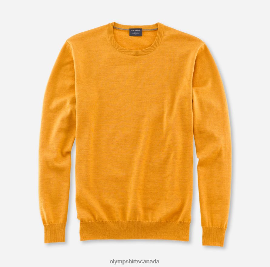 OLYMP Casual Knitwear Pullover, Aniseed H2P42H1841 Clothing