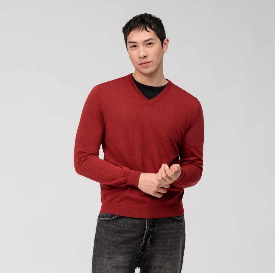 OLYMP Casual Knitwear Pullover, Barolo H2P42H1765 Clothing