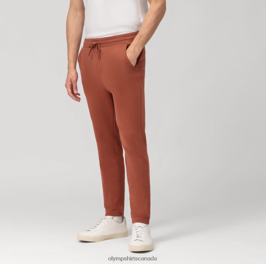 OLYMP Casual Jersey Pants, Brown H2P42H2194 Clothing